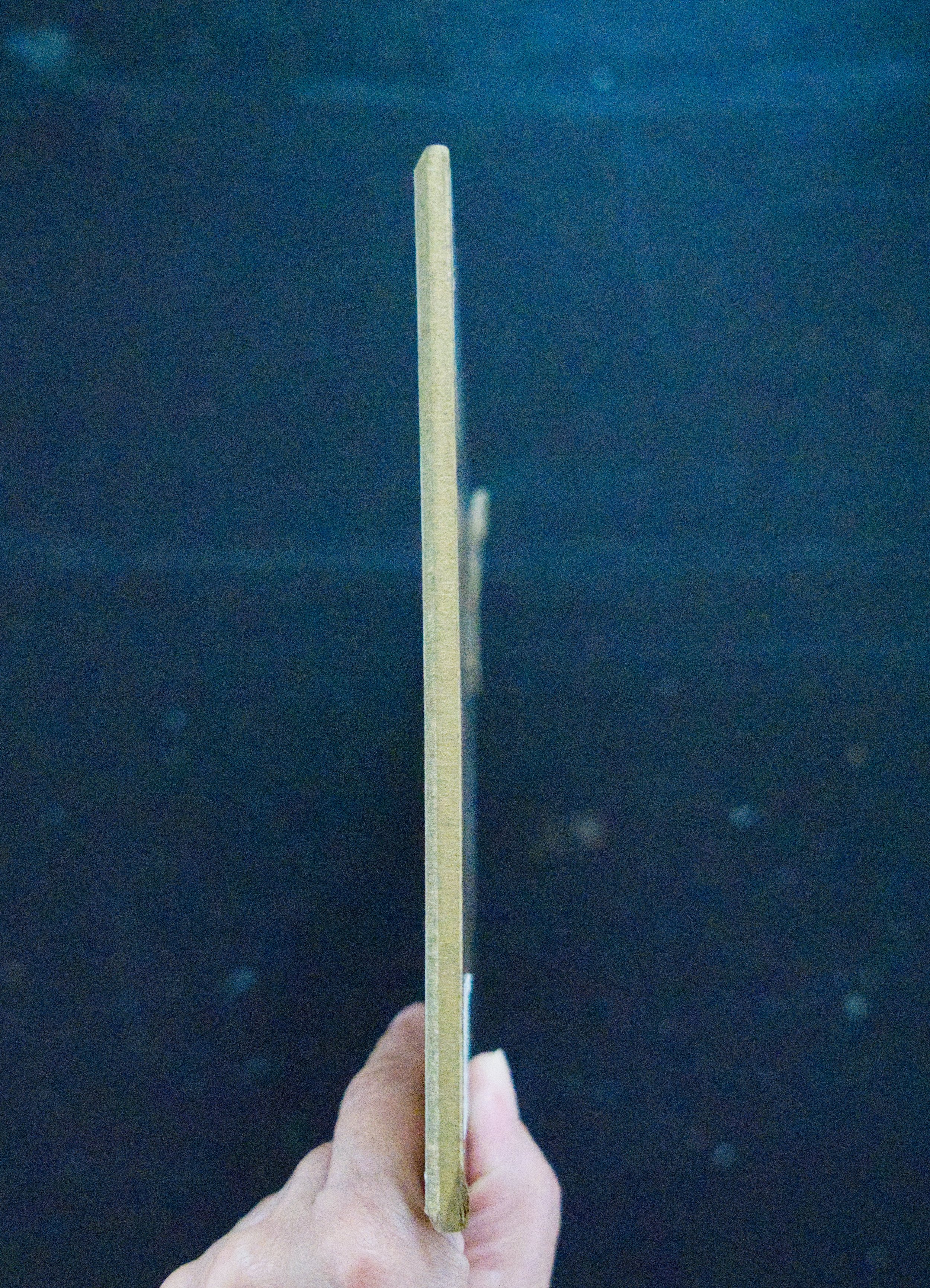 DSC03864.jpg