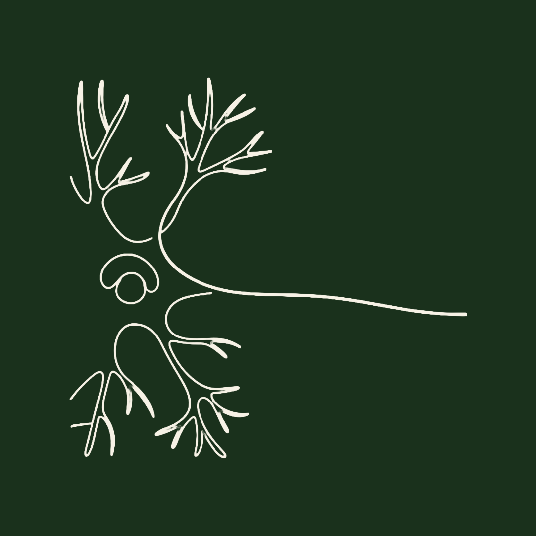 neuron dark green .png