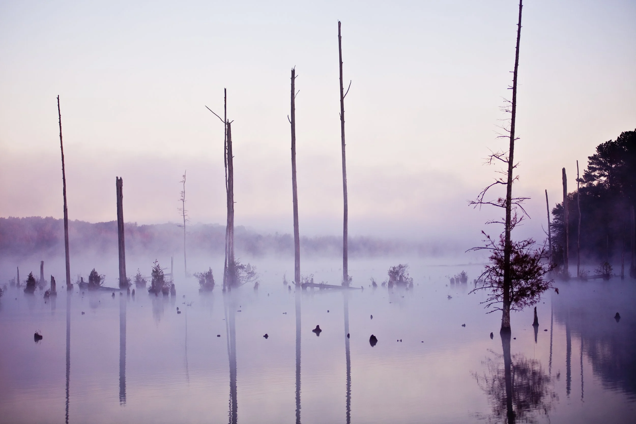 Bouyu  fog 2.jpg