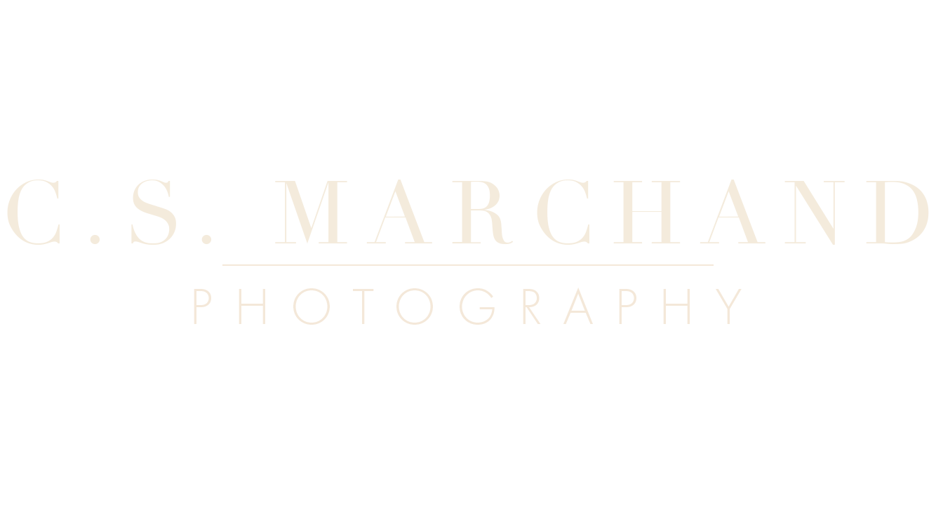 Connecticut Portrait, Branding &amp; Boudoir Photographer