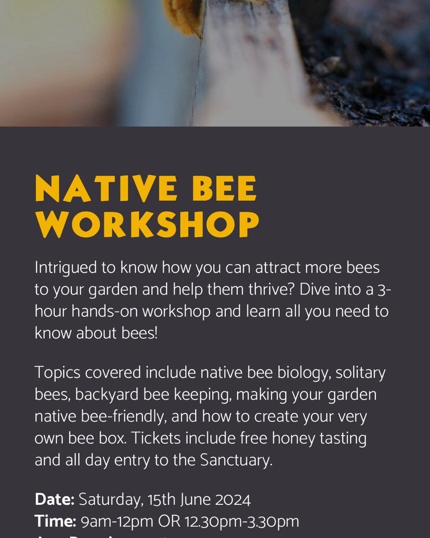 Come join us for a day of informative, fun learning at Currumbin wildlife sanctuary.
#nativebees #australiannativebee #aussiebee #education