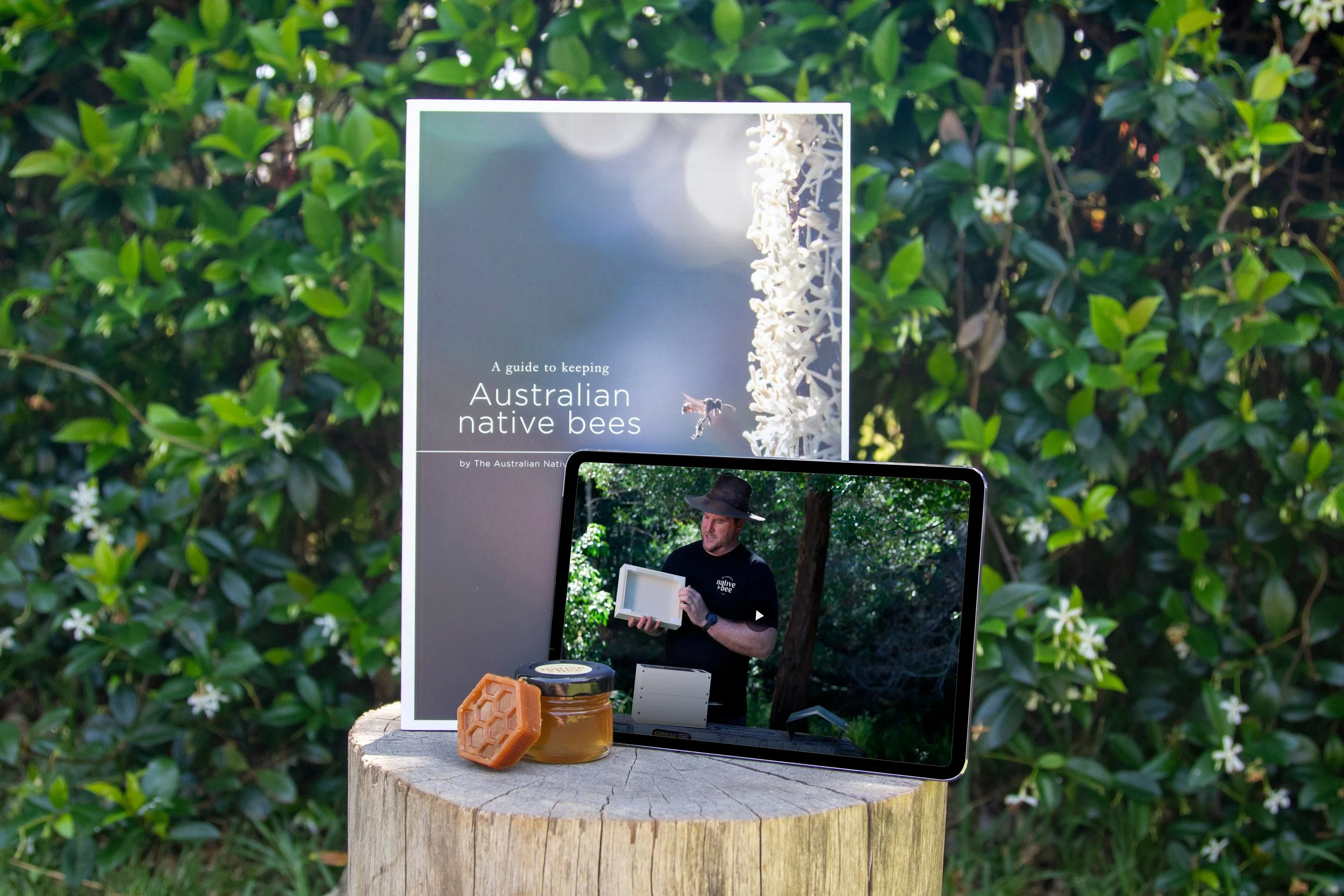 Native bee intro kit