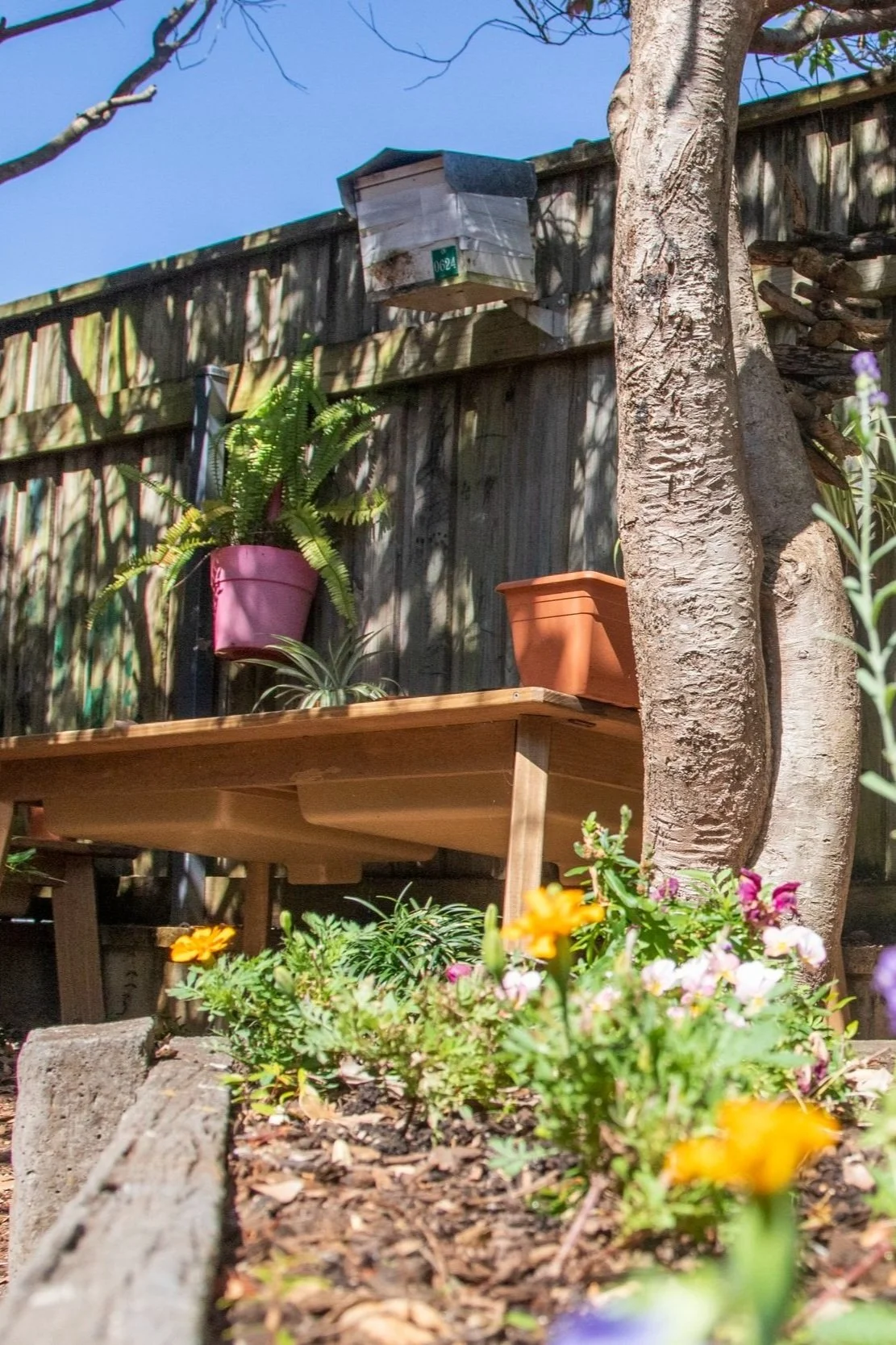 Backyard garden scene with  native bee hive, wooden table, potted plants, blooming flowers, a wooden fence, and a tree, on a sunny day.