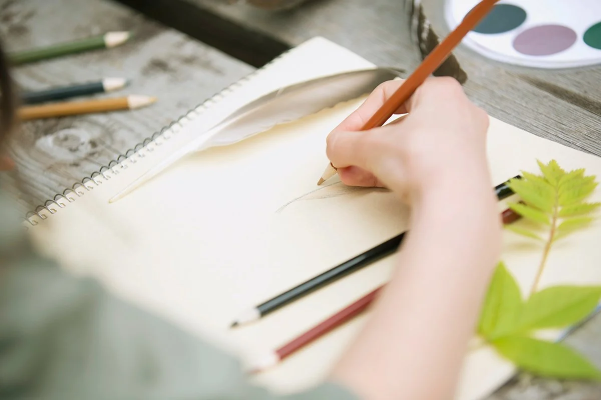 Nature Journaling Club