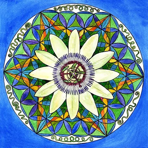 Nature Mandalas 