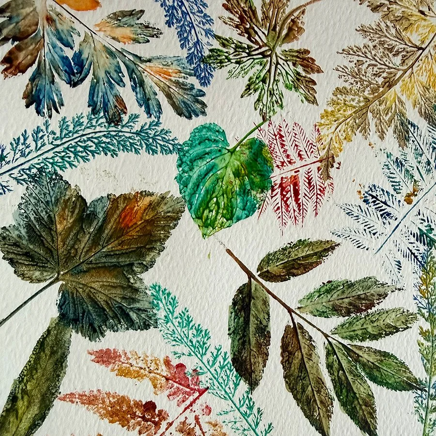 Wild Impressions of Autumn