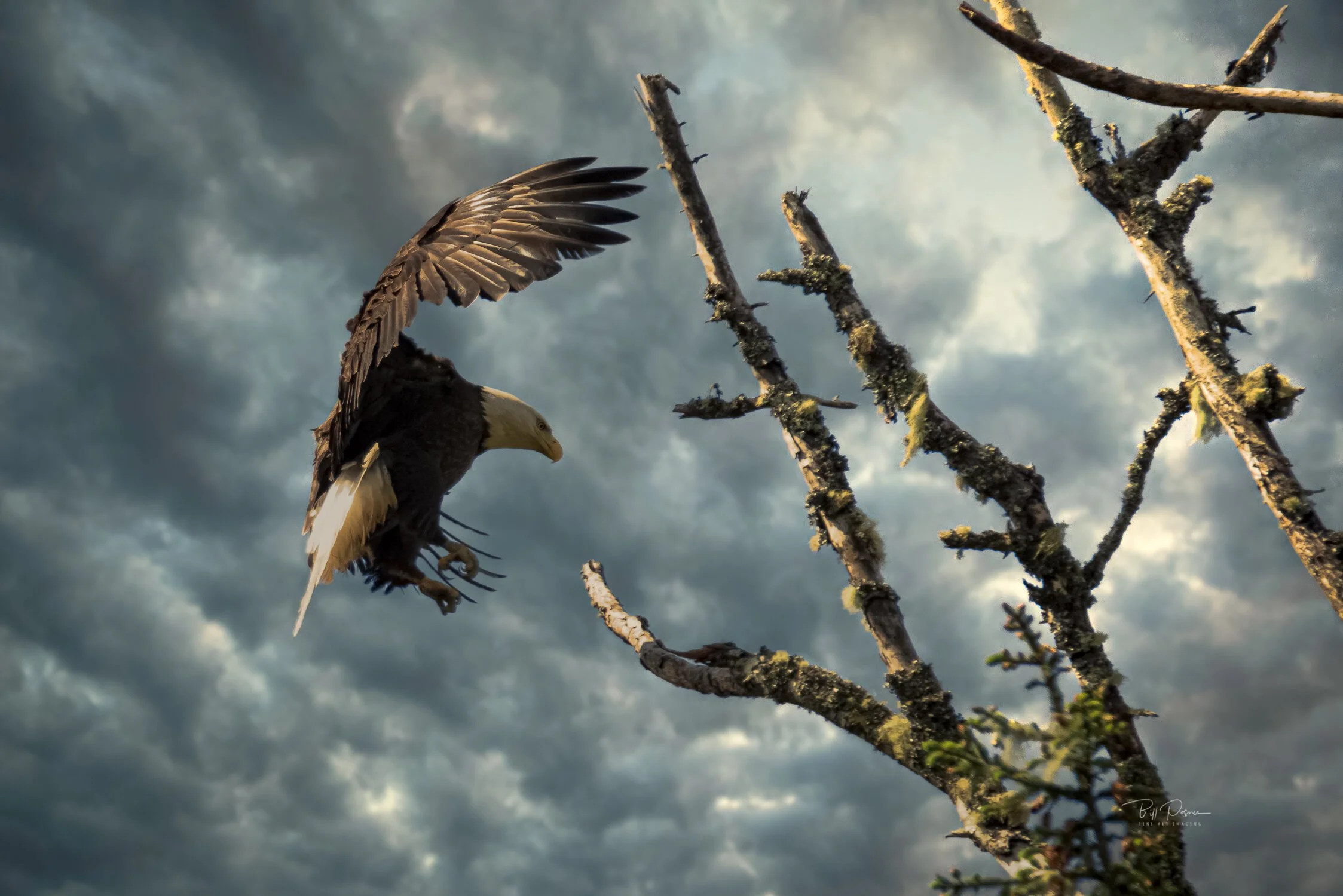 BPYakonaEagles2020-1-4.jpeg