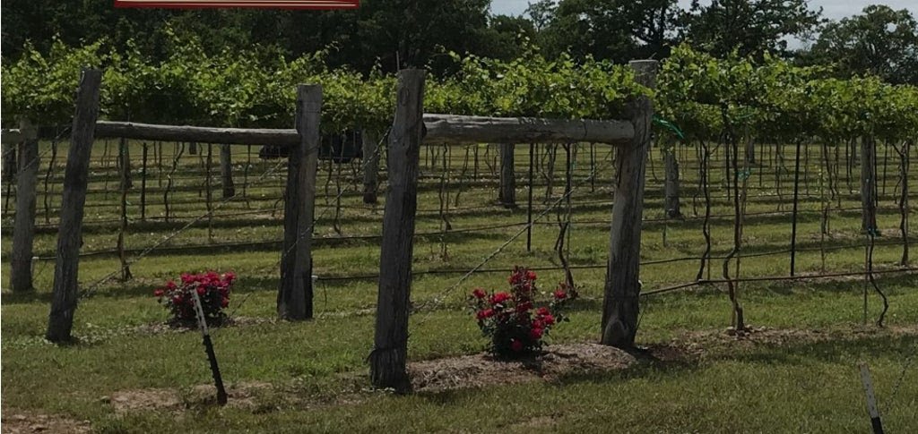 Busted Oak Cellars