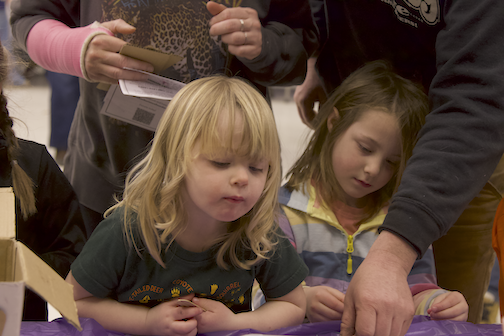 Copy of IMG_0194 copy.png