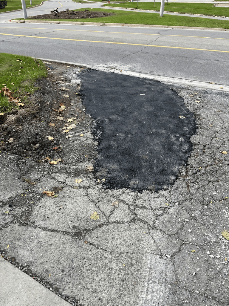 Spring Cleanup by Mz's Lawn Care
