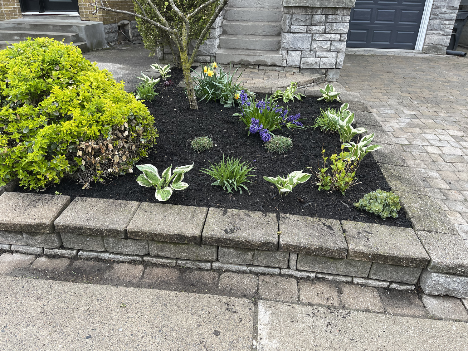 Landscaping by Mz's Lawn Care
