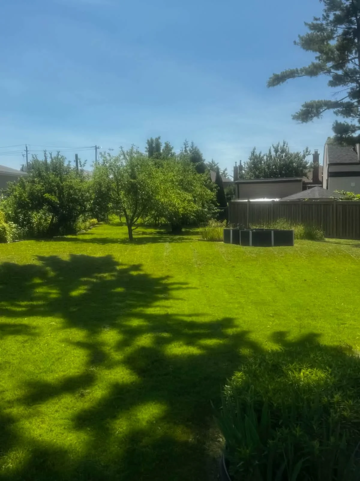 Another week, another view of lines by our teams! 🤩🍃🏡🇨🇦 #mzslawncare