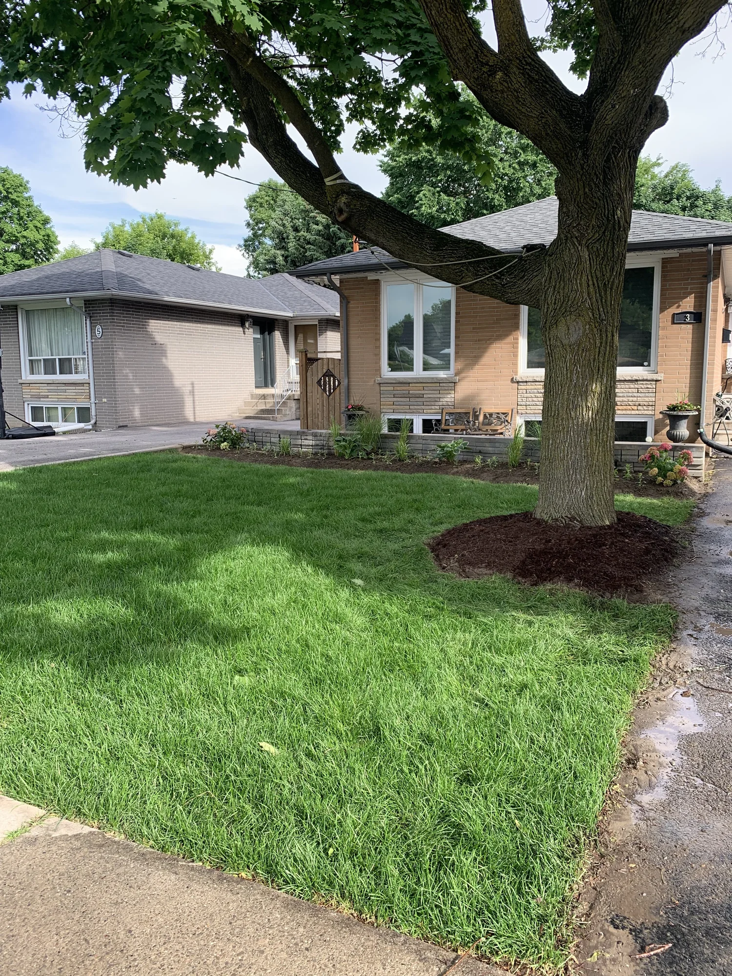Mz's Lawn Care property maintenance work