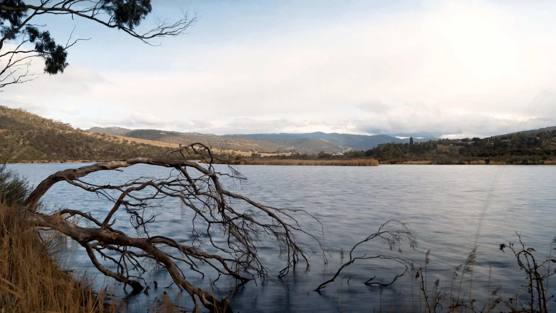 Derwent River Timelapse