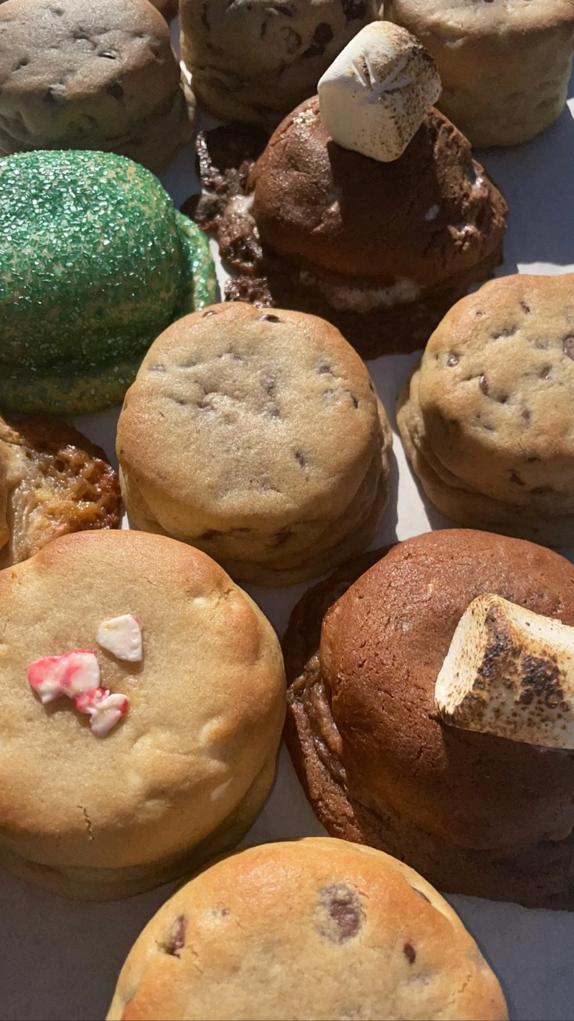 A24DFC85-260F-44E2-9854-D8B49A667F00.JPG (Copy)