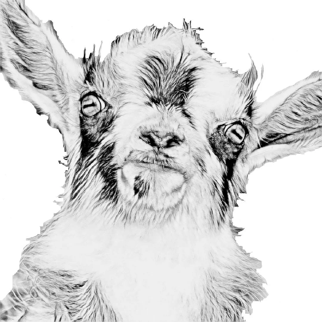 Giz sketch.jpg