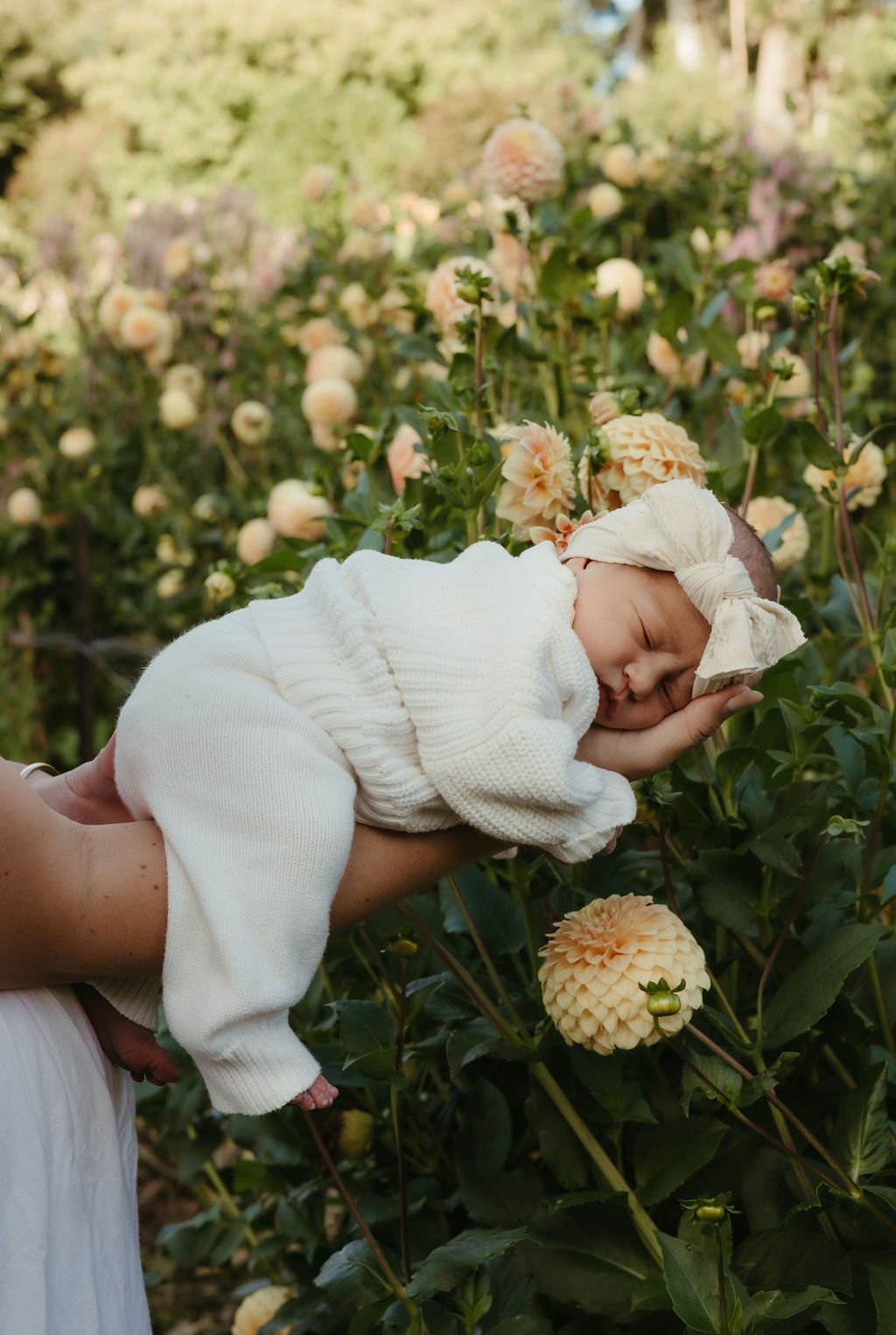 Newborn