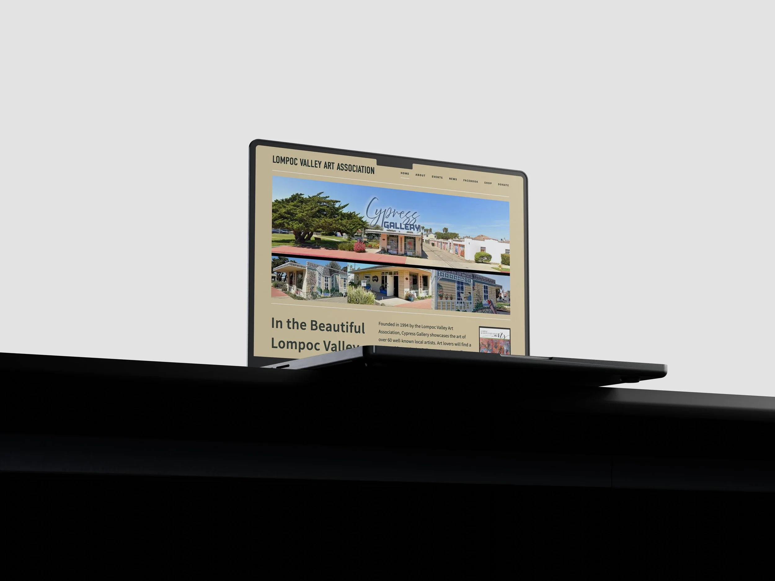 Supporting LVAAs’ Squarespace Site