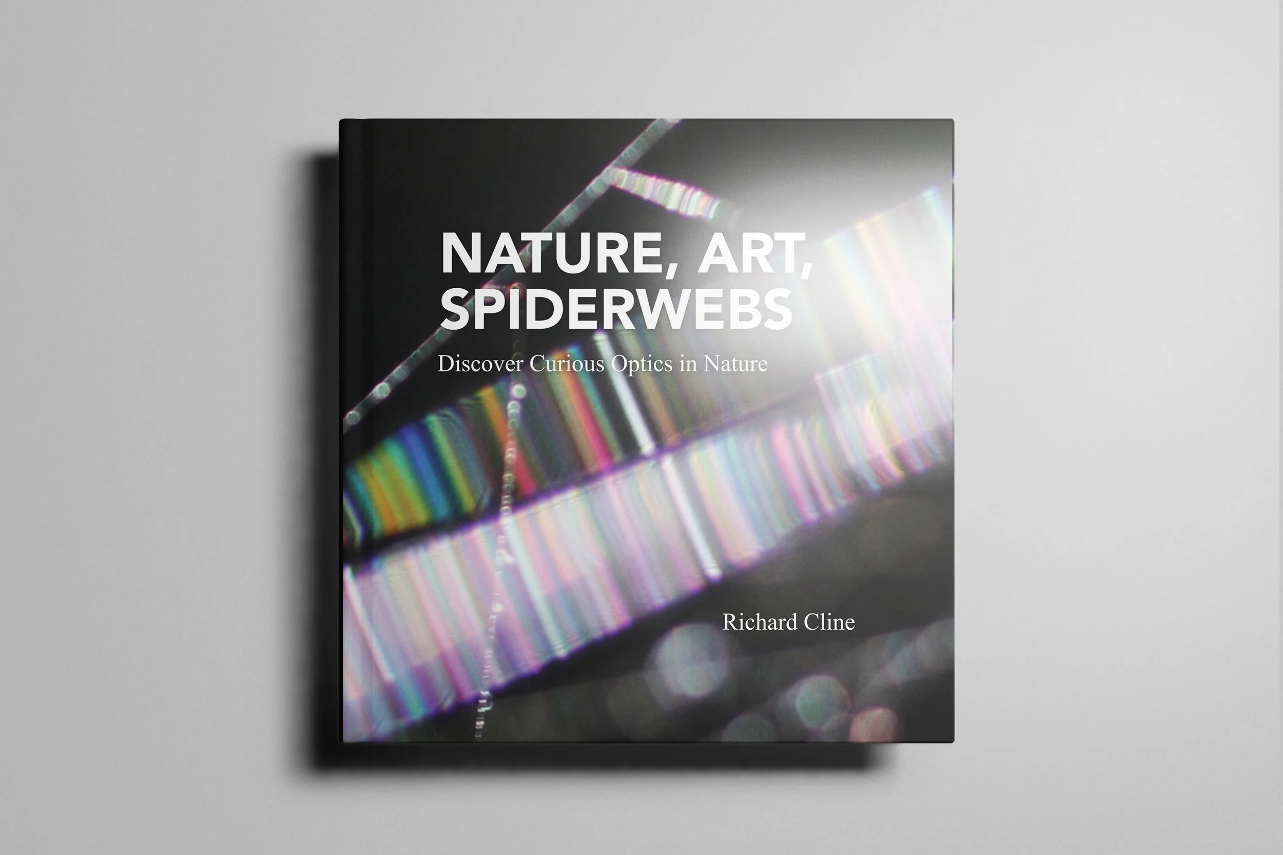 Summer Studio News
