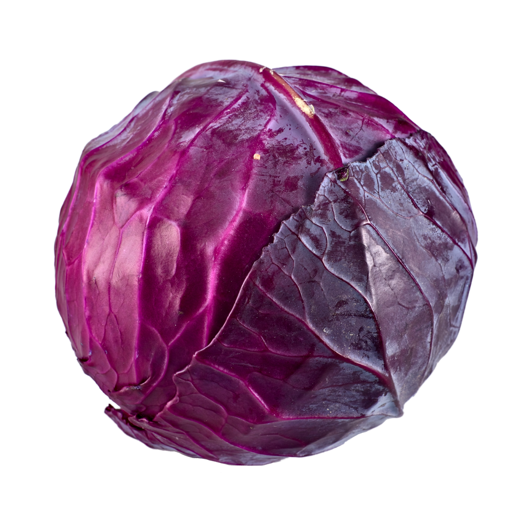 Cabbage Red KG