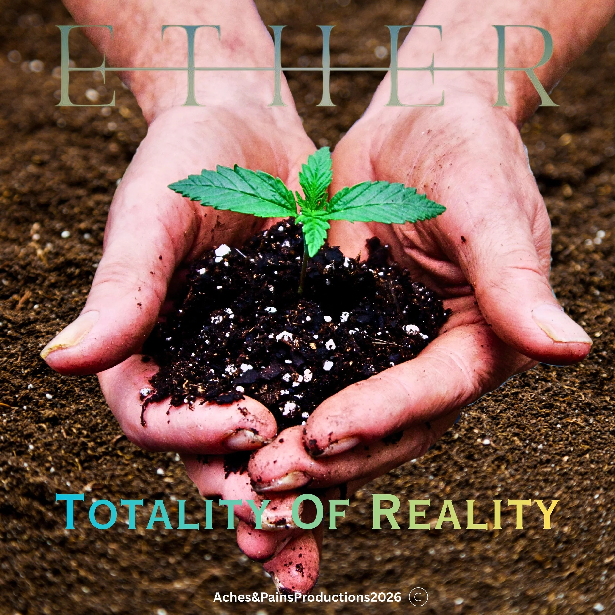 Totality Of Reality Album Art Front.jpg