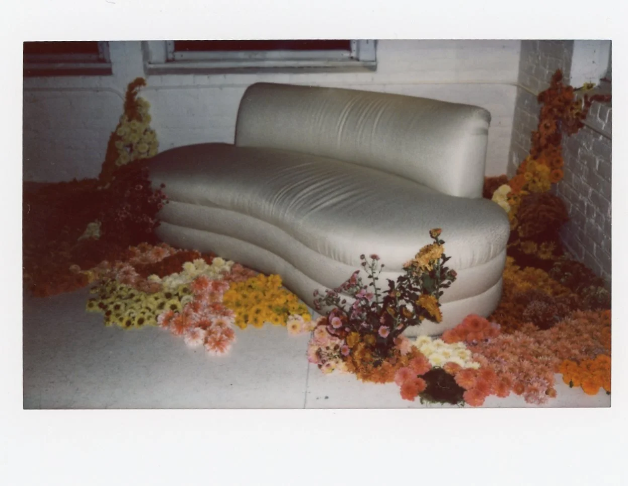 img035.jpg