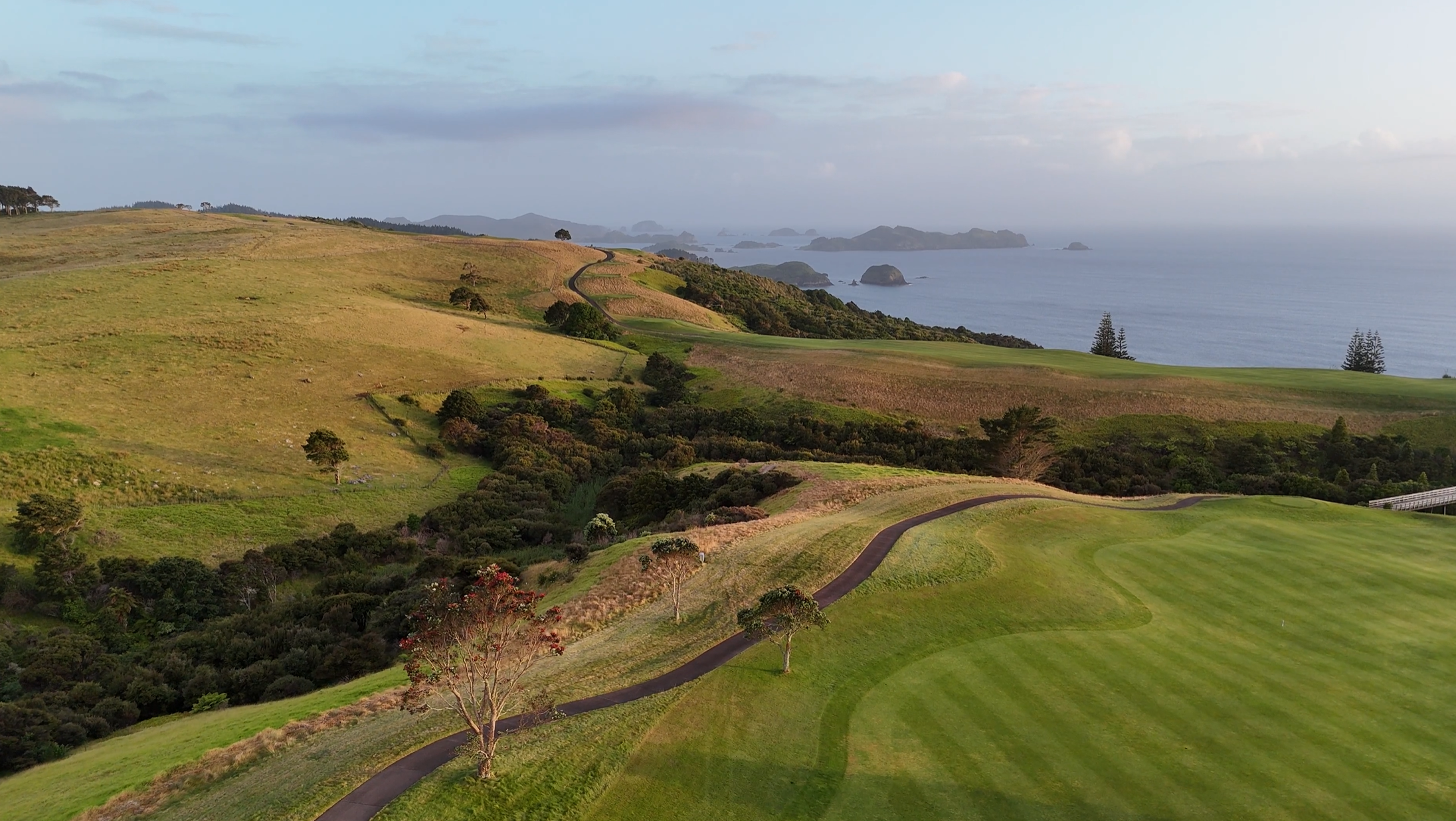 Kauri Cliffs.png