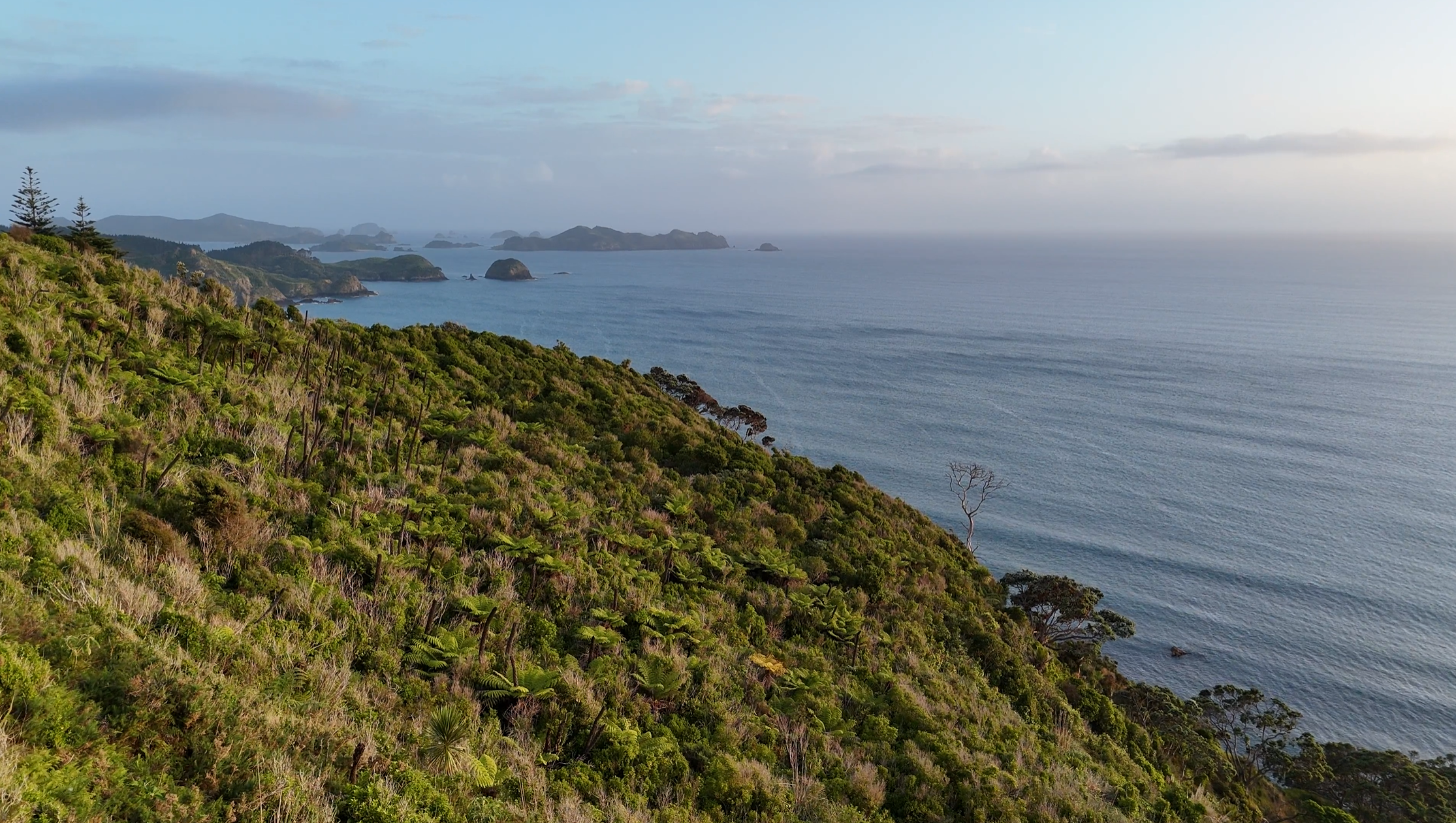 Kauri Cliffs Coast.png