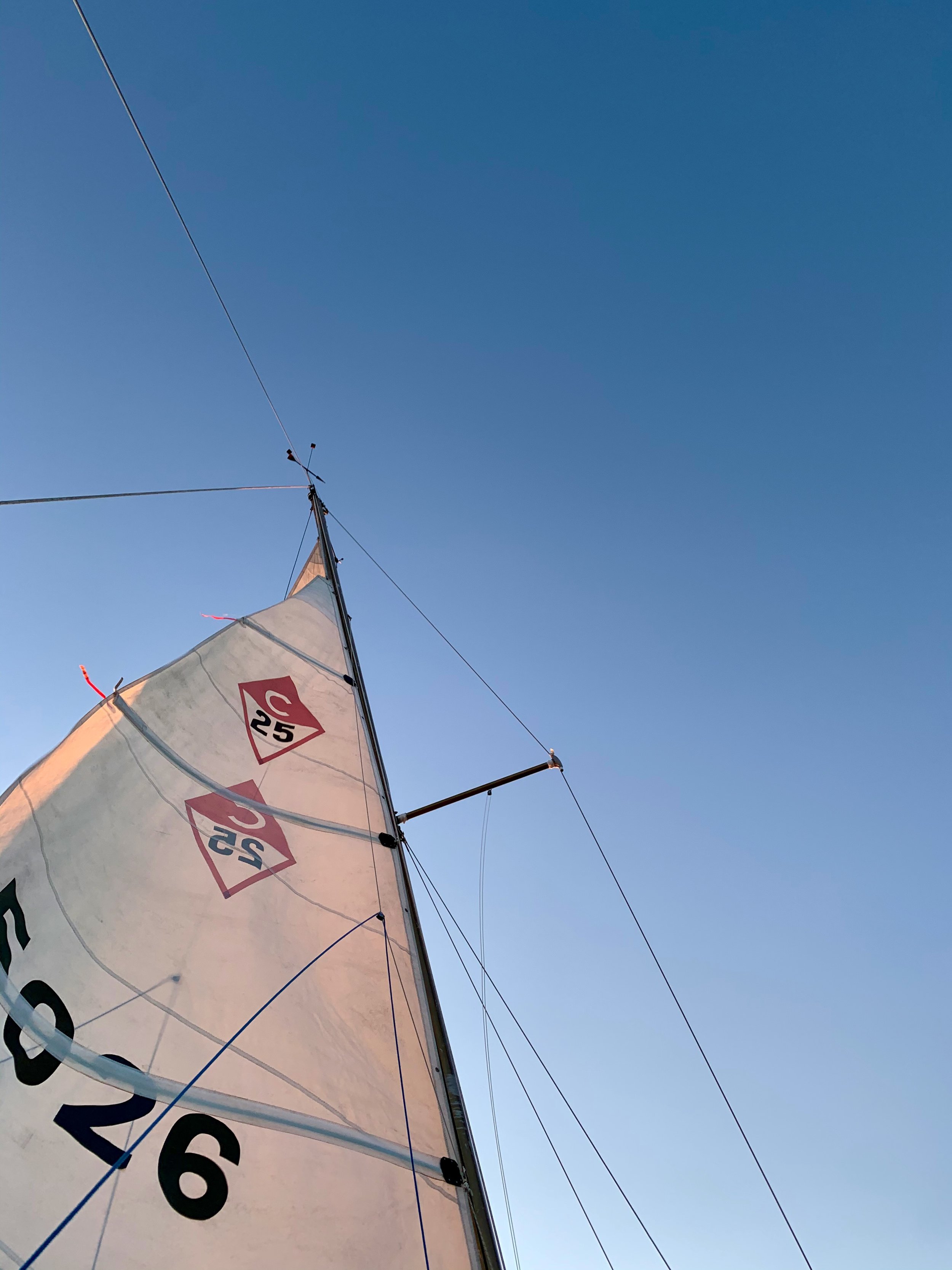 C25