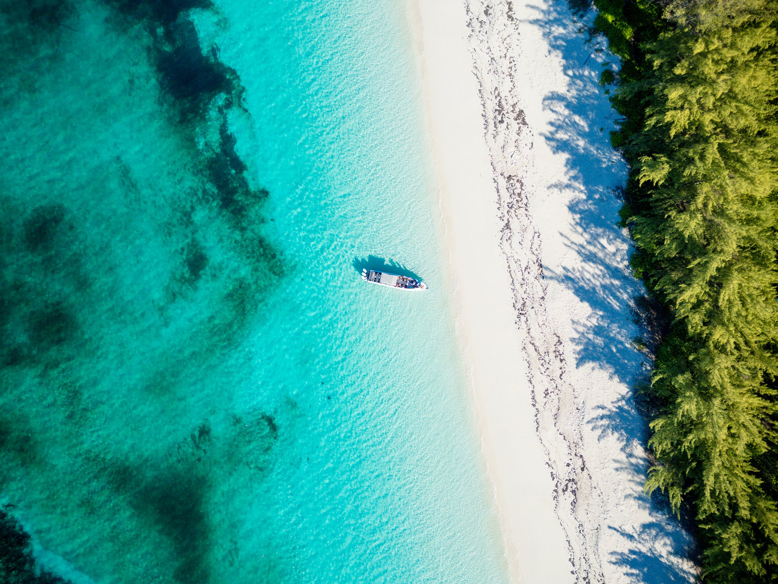 DJI_0855.jpg