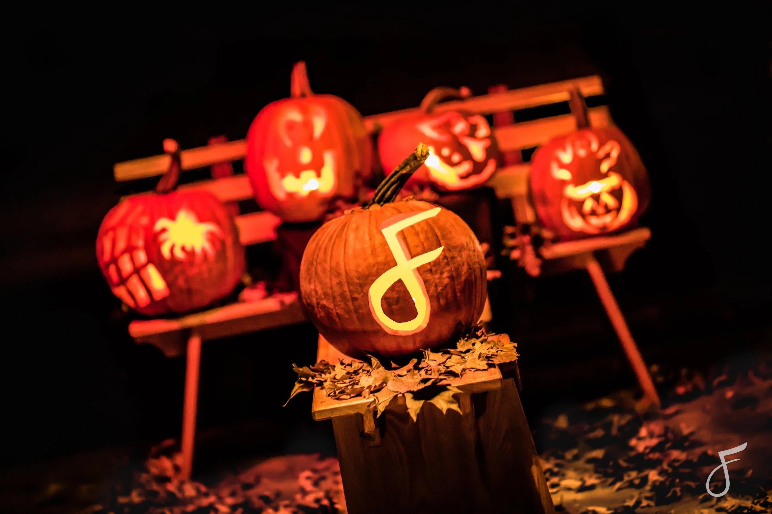 Get Dirty, Get Creative, Carve your Pumpkins!