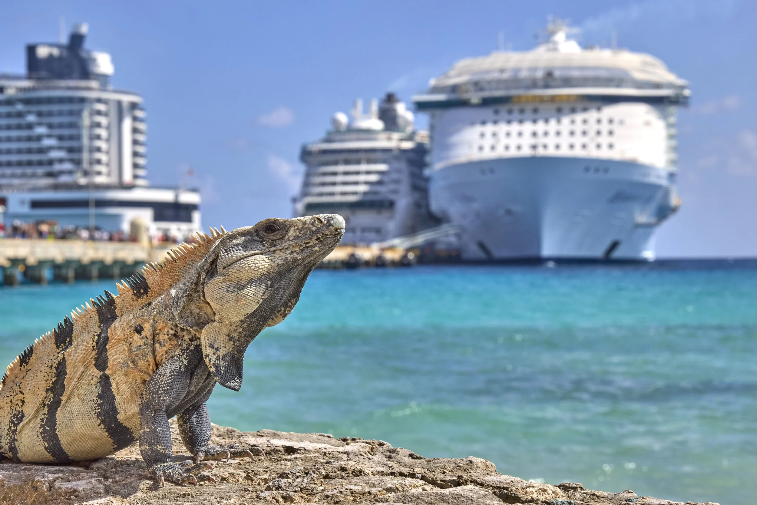📸 Costa Maya Cruise Port | Mexico
