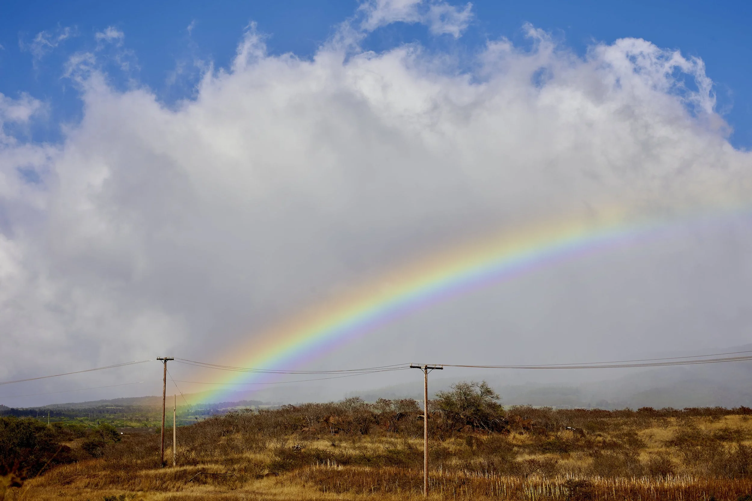 📸 Hawaiian Rainbows | Maui, Hawaii