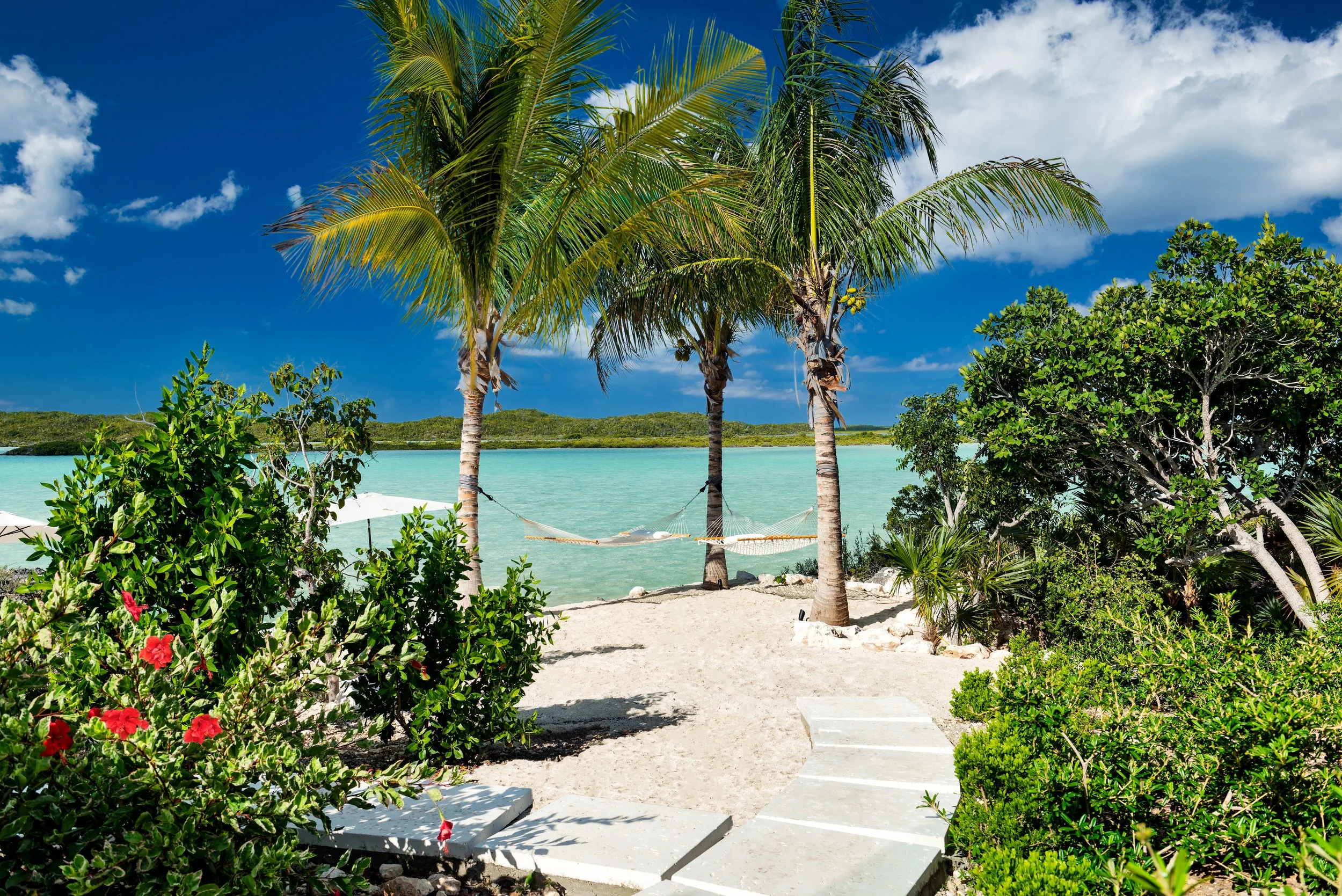 Tropical beach scene with three palm trees, a hammock tied between two of the trees, clear turquoise water, green shrubs, sandy pathway, and a bright blue sky with a few clouds.
