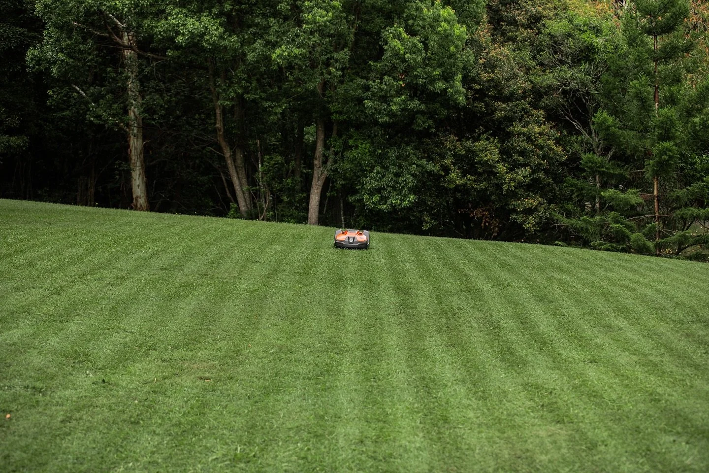 Rangabot has skills. 🙌🏼 Hands up if you reckon you could stay this on-task. 
#rangabot #husqvarnarobotmower #straightlines