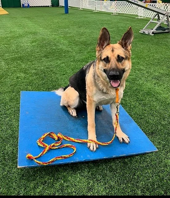 Agility Foundations