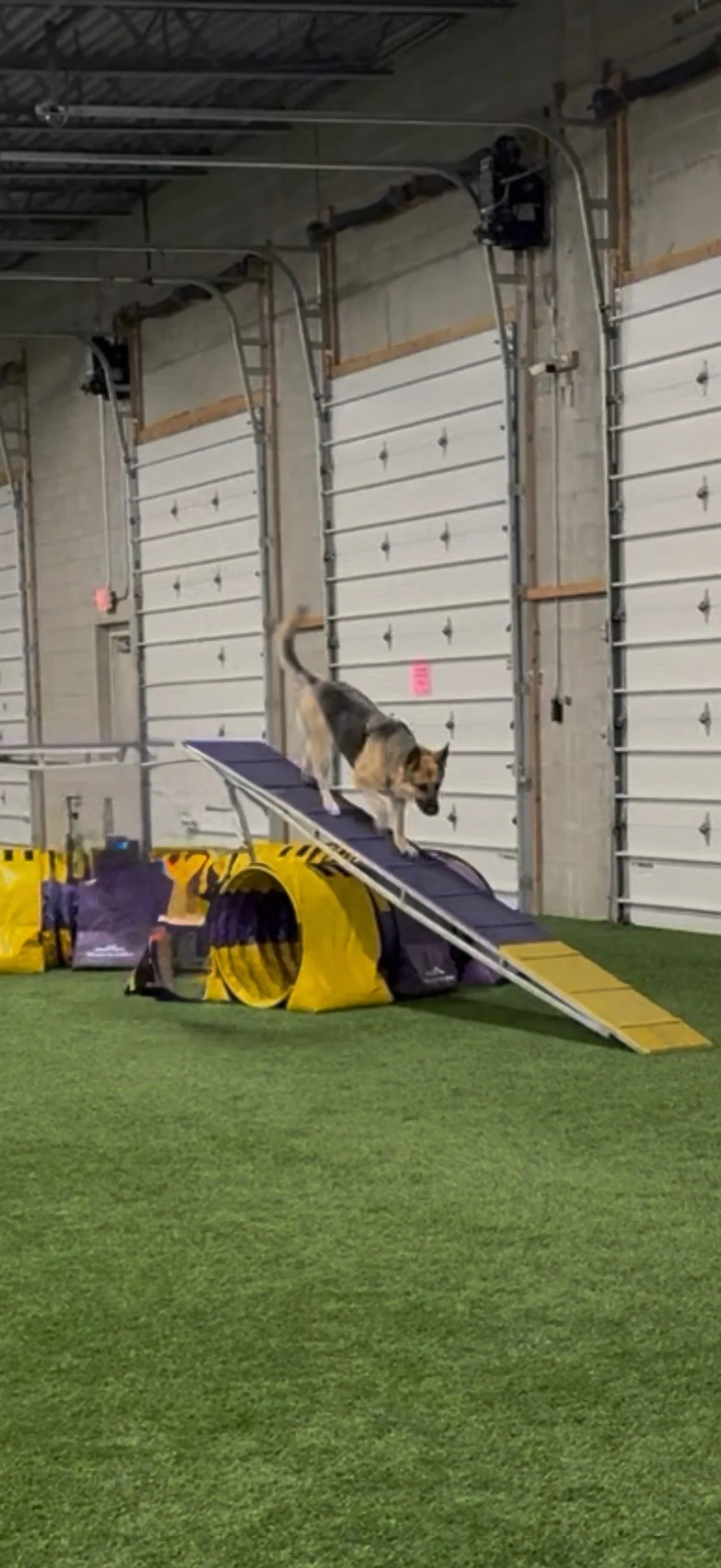 Agility 2: Intro to Obstacles