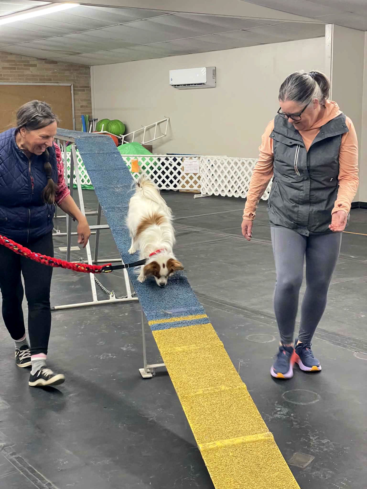 Agility 2: Intro to Obstacles