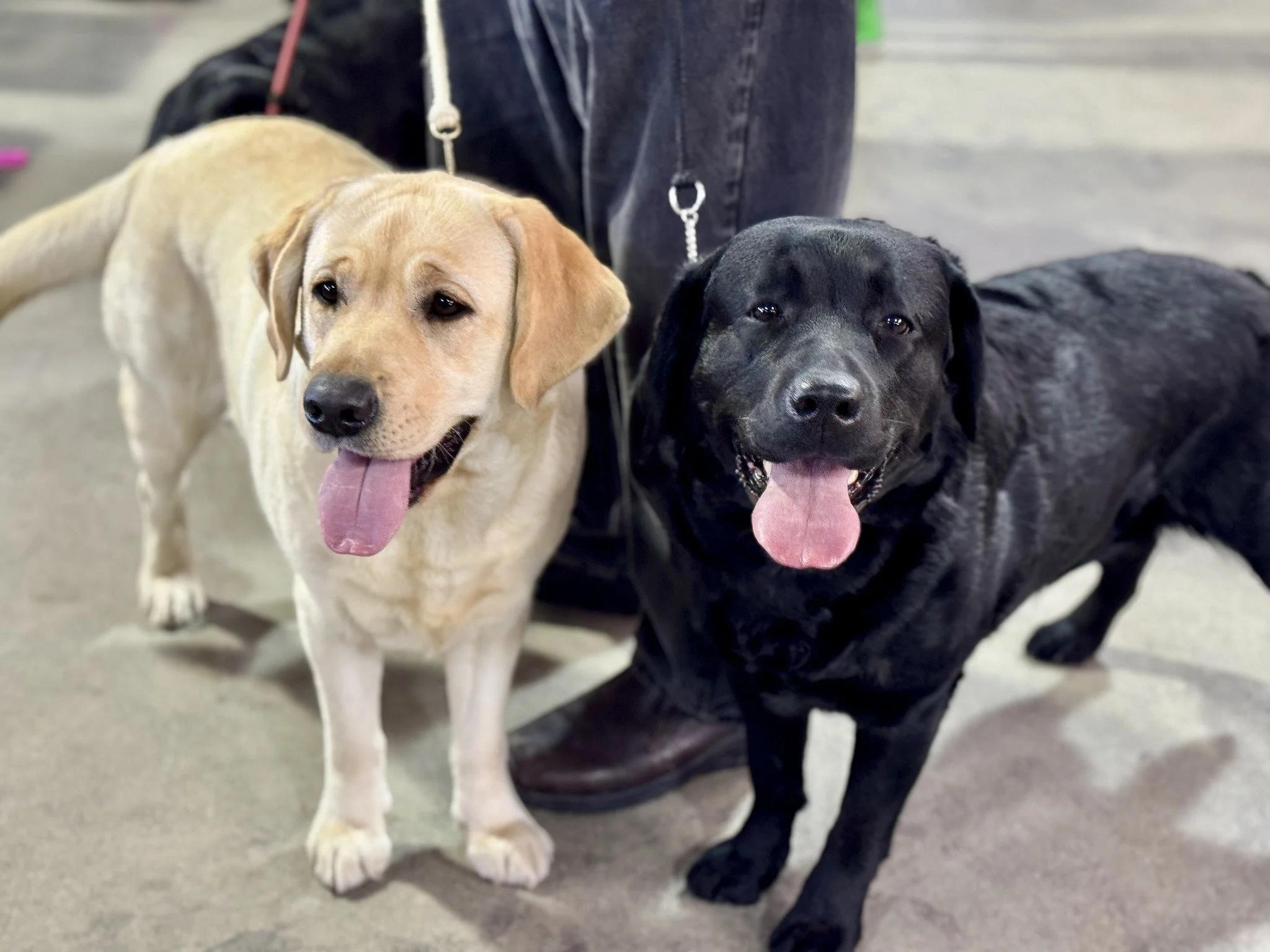 Join us Friday before the Rock River Classic