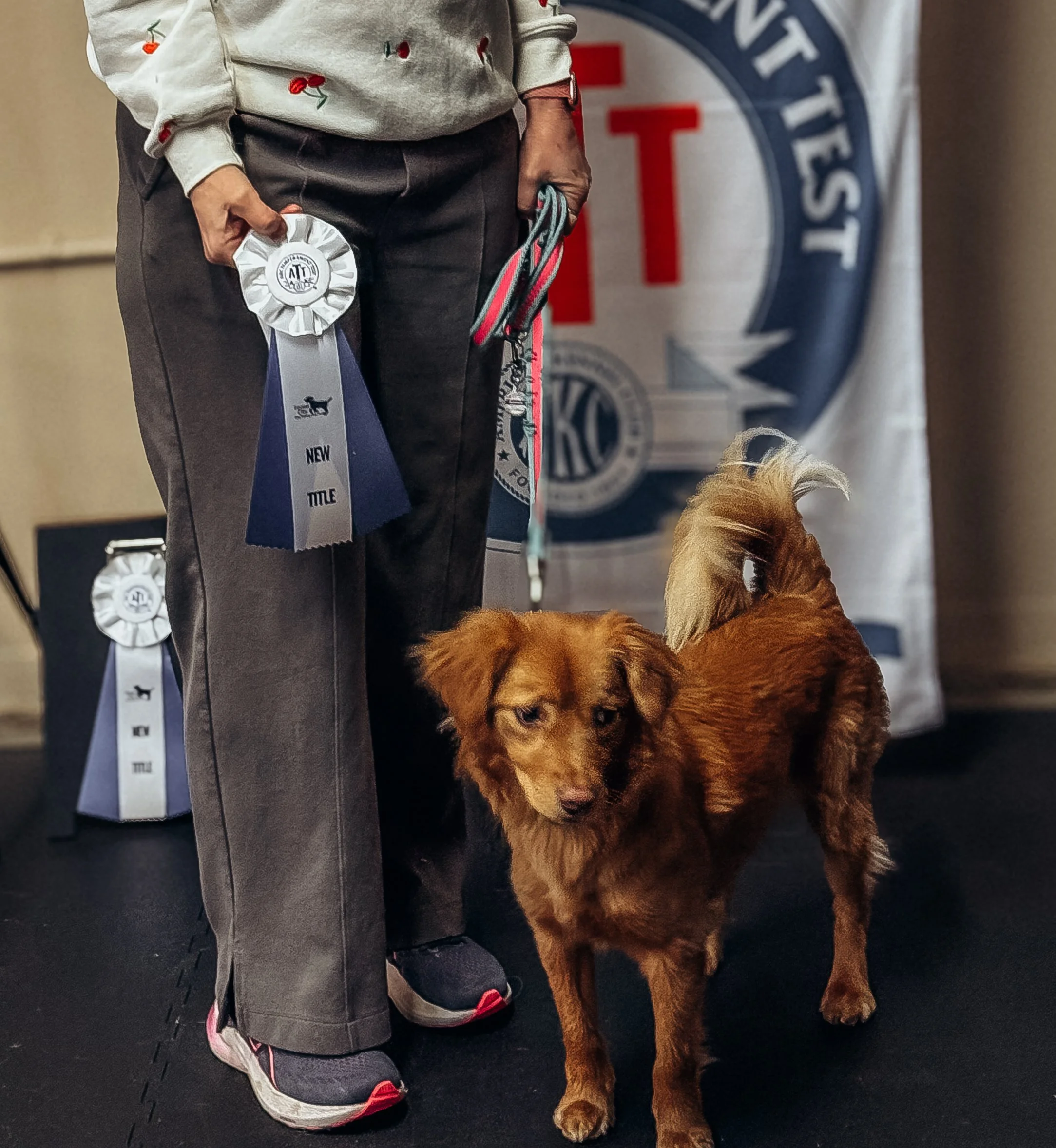 AKC Temperament Test at JBKC