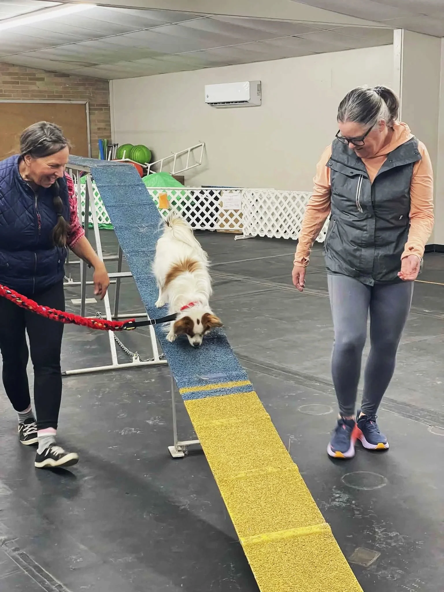 Agility 2: Intro to Obstacles