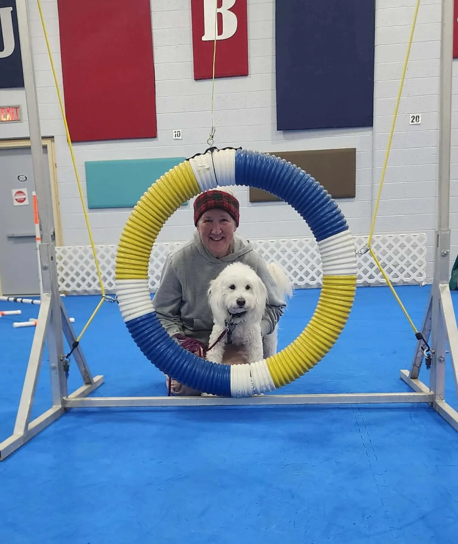 Agility 1: Foundations