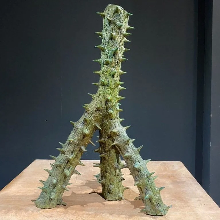 Arunkumar HG&rsquo;s cactus stands not only as a sculpture, but as a warning, stoic, resilient, and quietly urgent.

In Voir Dire, curated by Anupa Mehta, Arunkumar HG&rsquo;s cactus form confronts the viewer with the realities of climate crisis. Sta