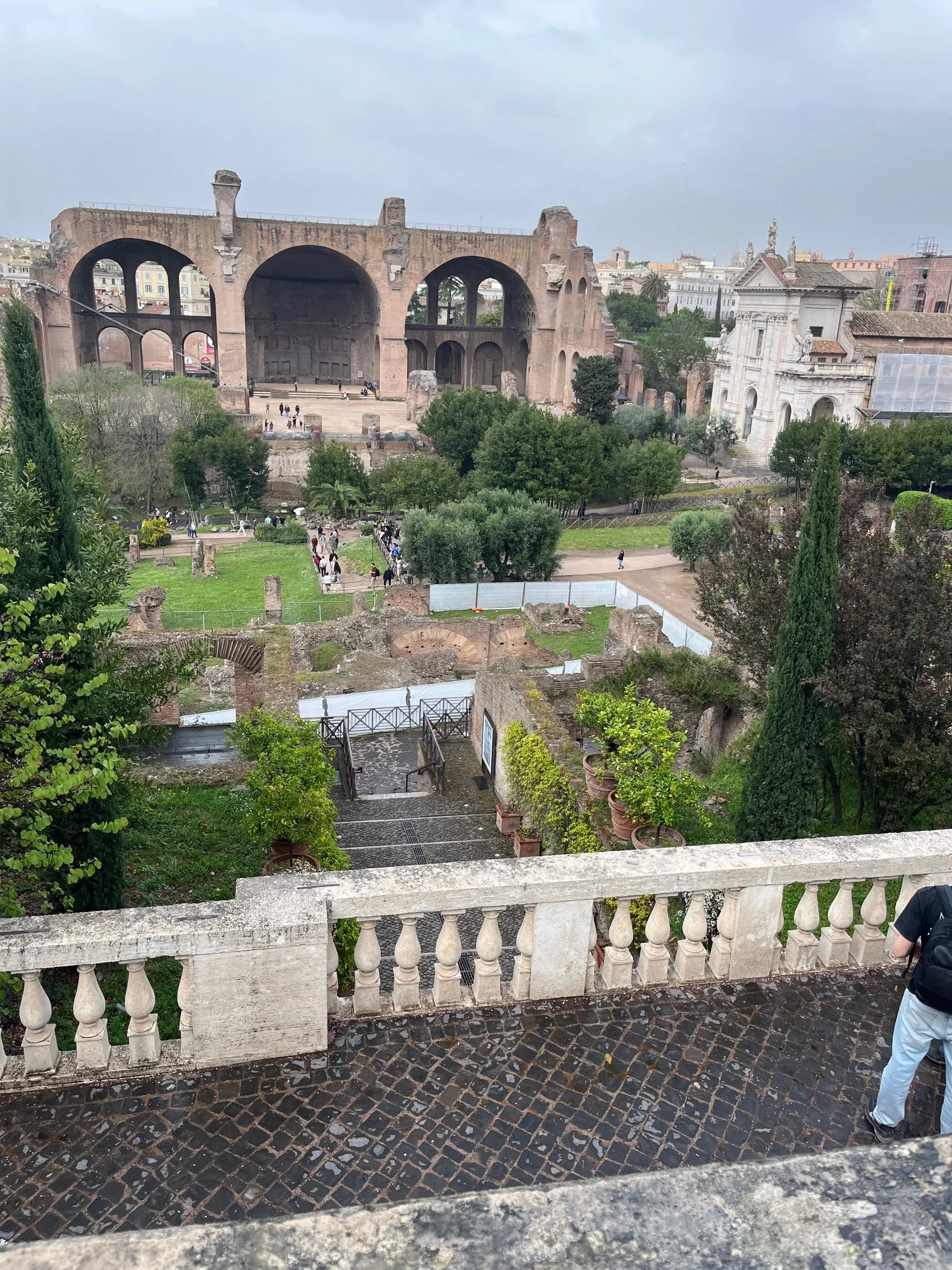 IMG_6940.jpeg