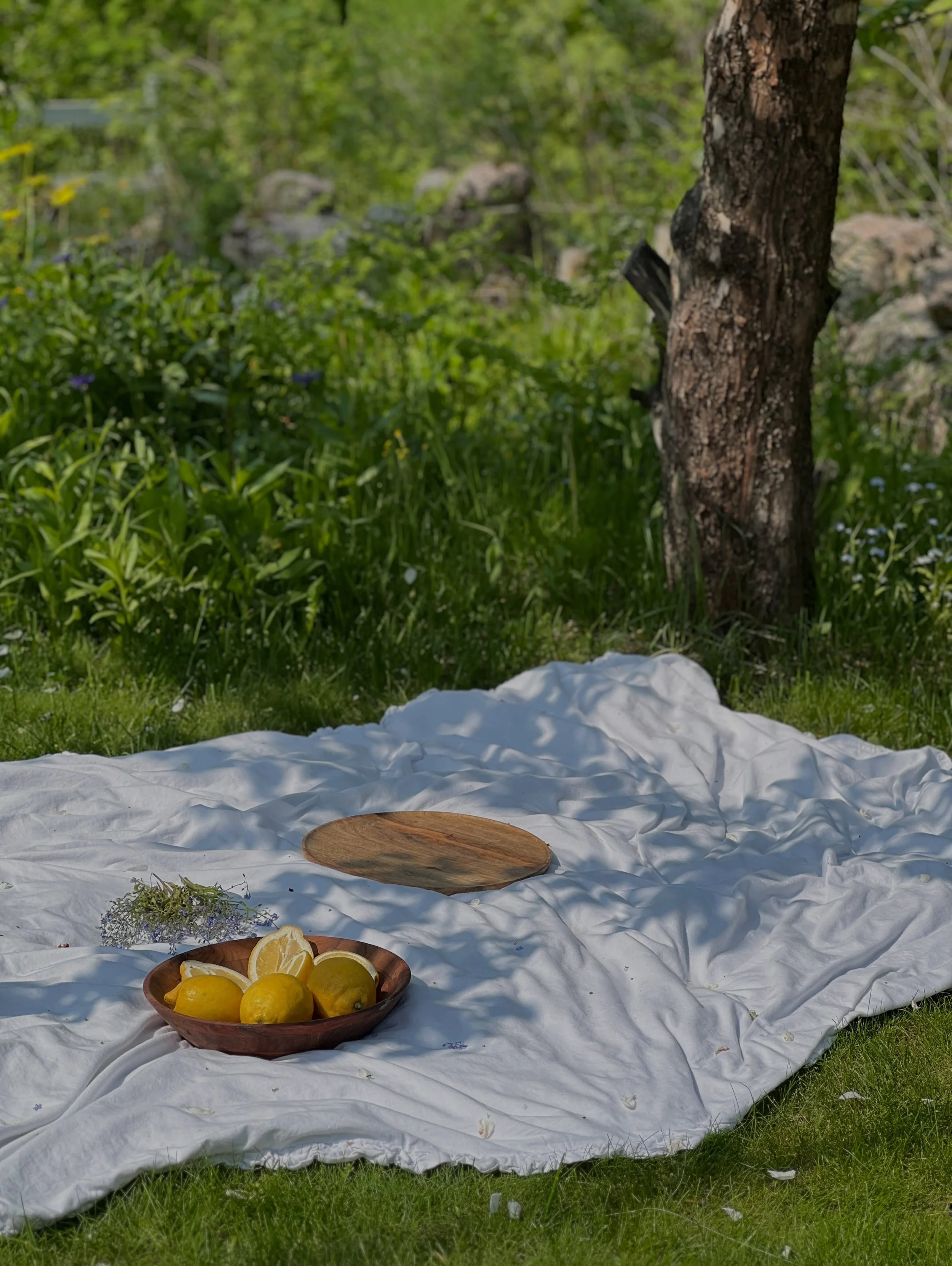 Kes&auml; tulee - ja entii&auml;. El&auml;m&auml; vaan niin kauheen t&auml;ynn&auml; kaikkea kaunista. Ja sit saan olla t&auml;&auml;ll&auml; mets&auml;n turvassa ja syliss&auml;. T&auml;&auml;ll&auml; on niin hyv&auml; olla. Ja maailmalla. Mun ihmis
