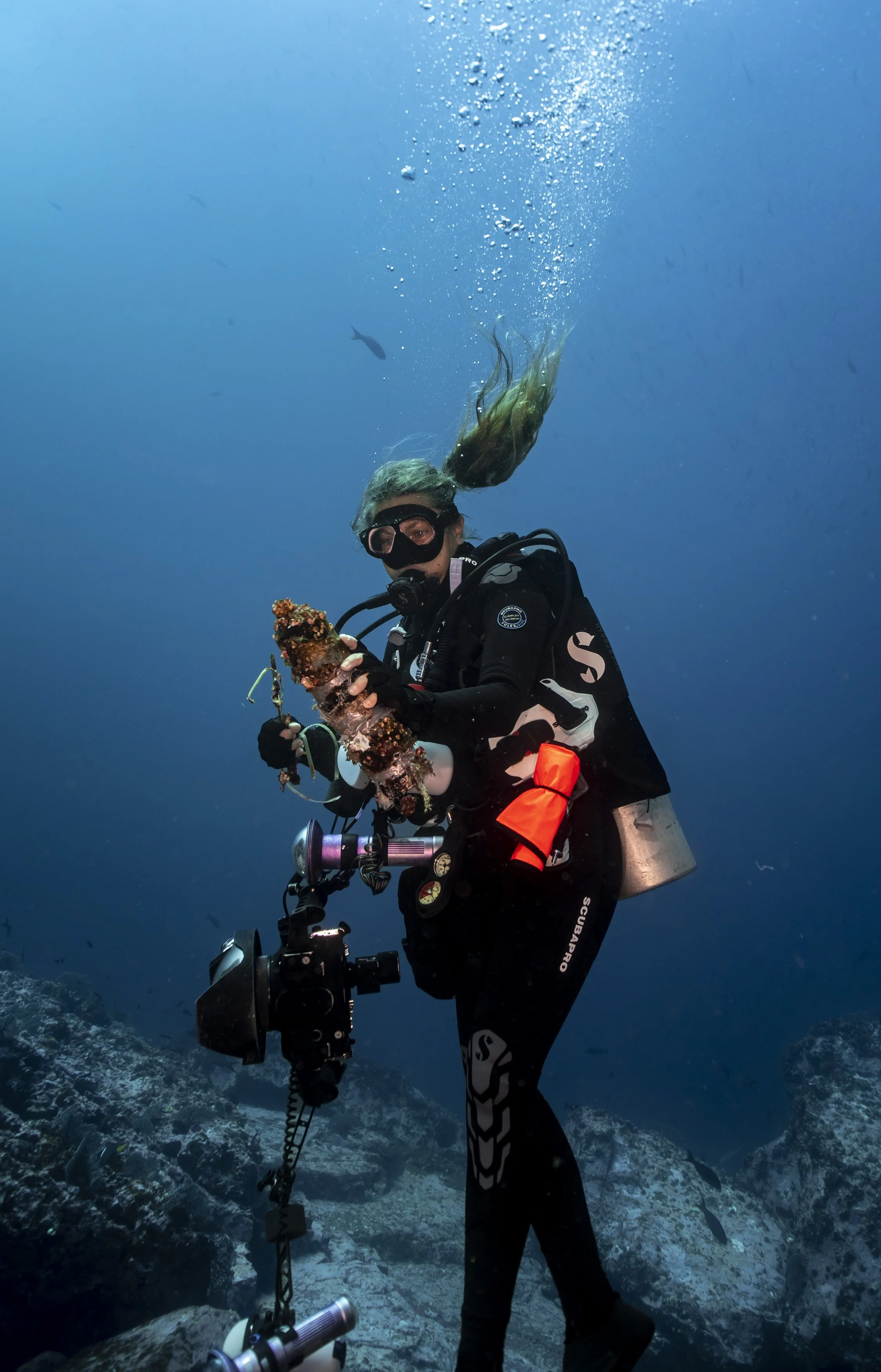 PPI_MB MALPELO_23CD_0086.jpg