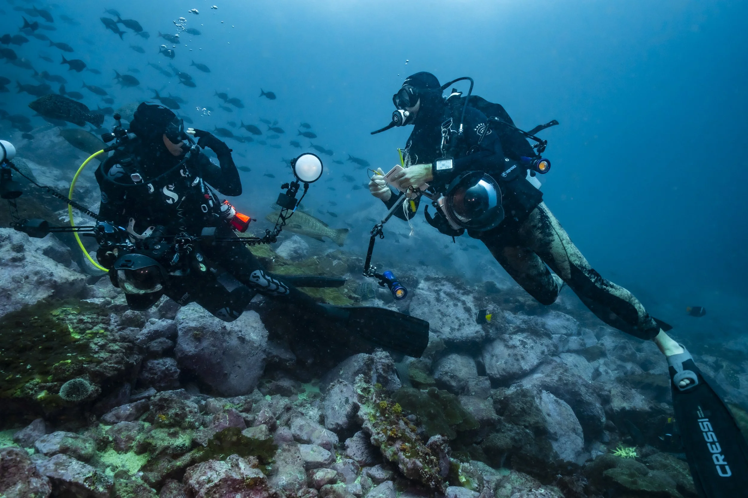 PPI_MB MALPELO_23CD_0126.jpg
