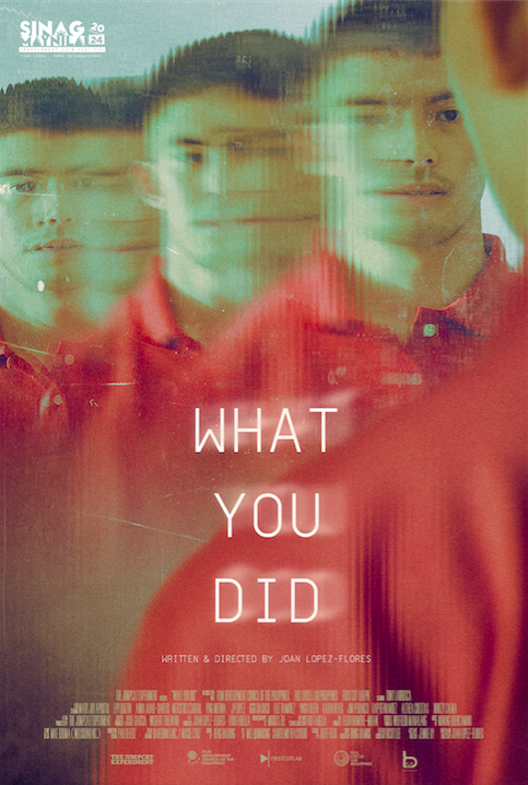 What You Did Poster.png