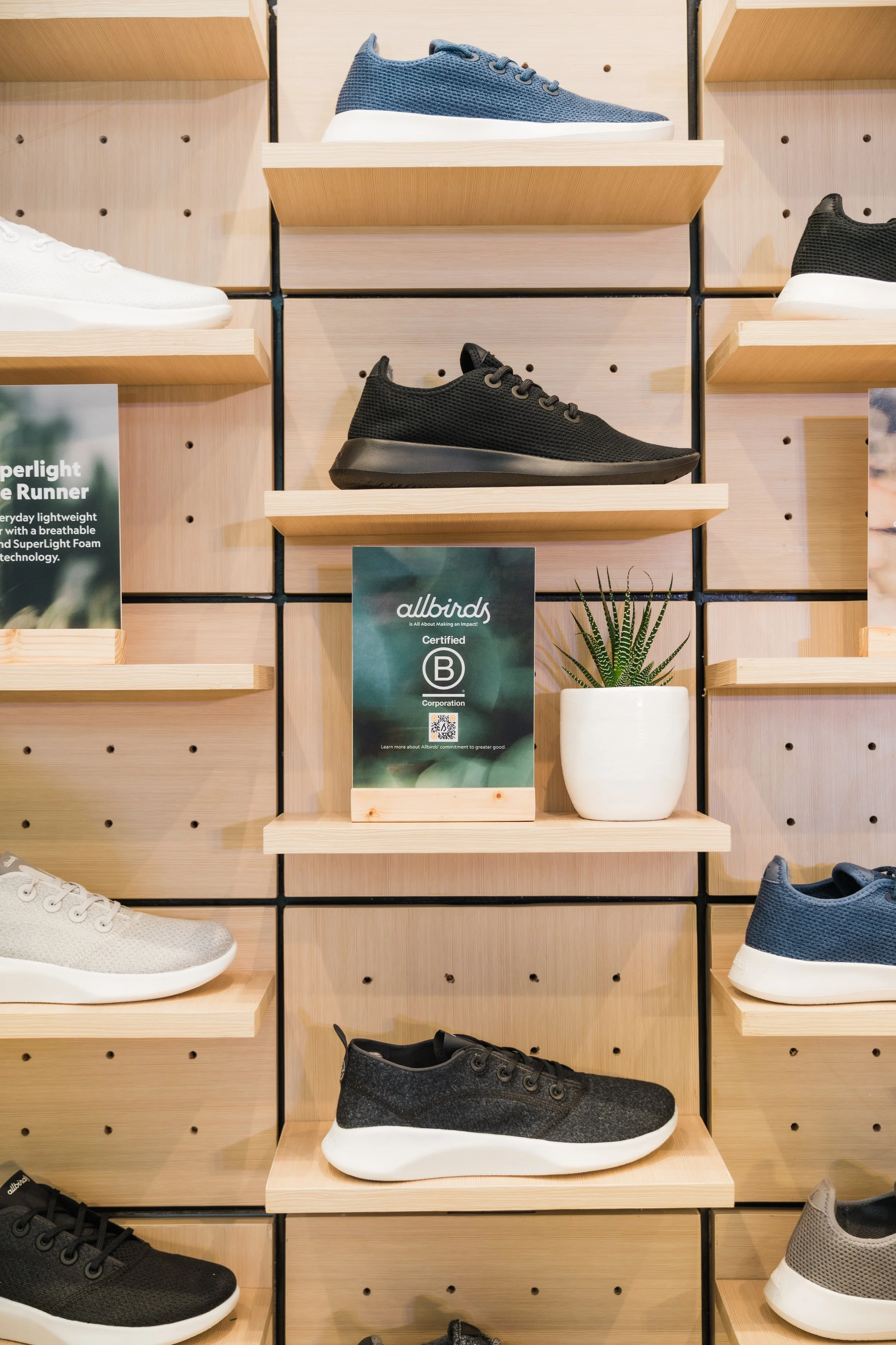 Allbirds Display.jpg
