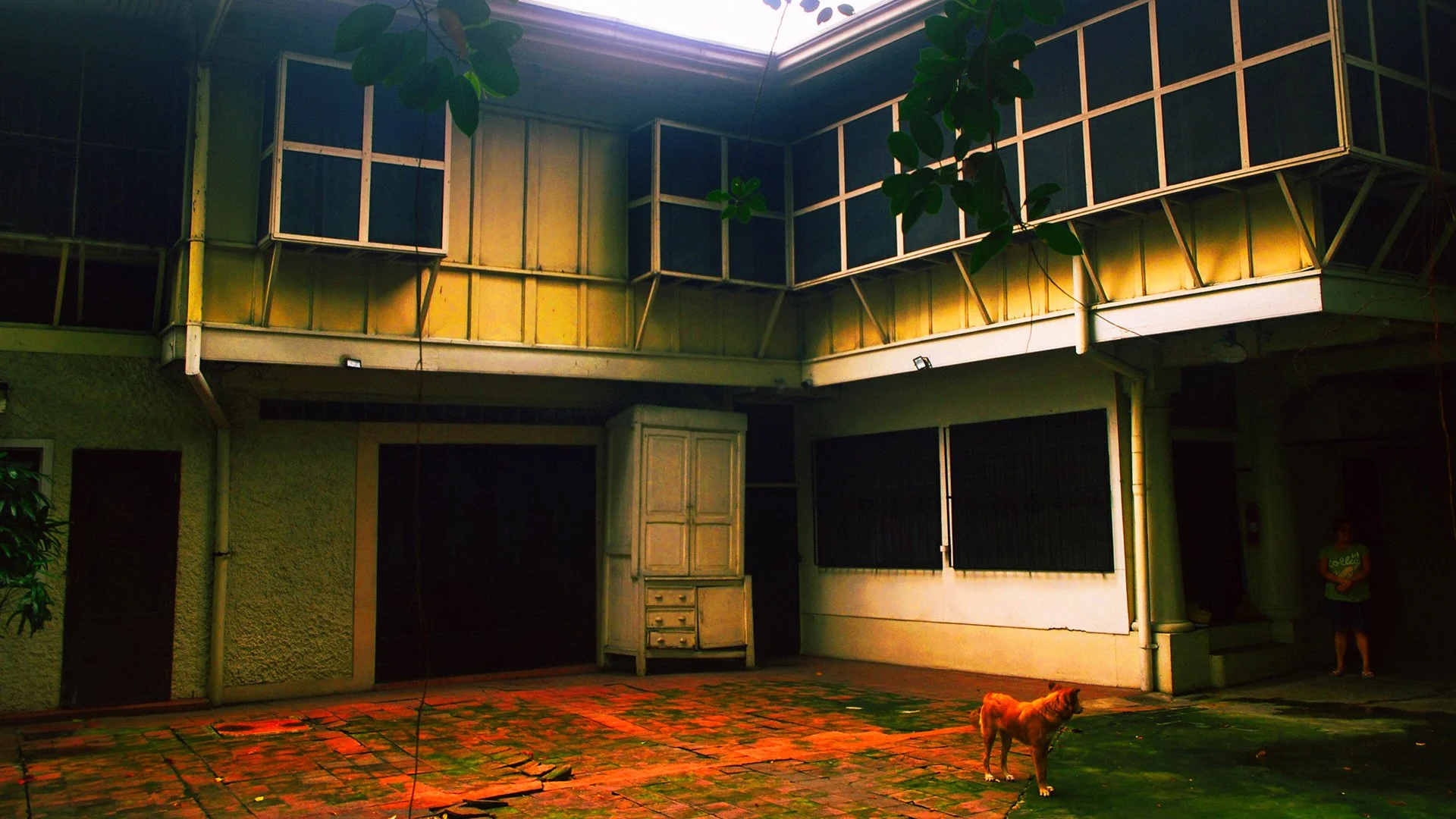 Vanishing Architecture
